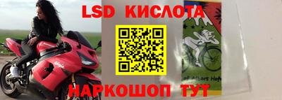 гашик Новодвинск