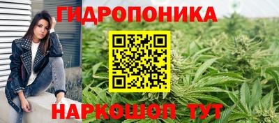 PSILOCYBIN Новозыбков