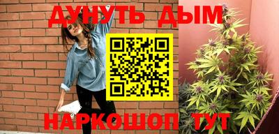 гашик Новодвинск