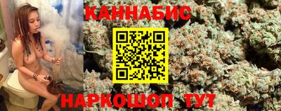 гашик Новодвинск