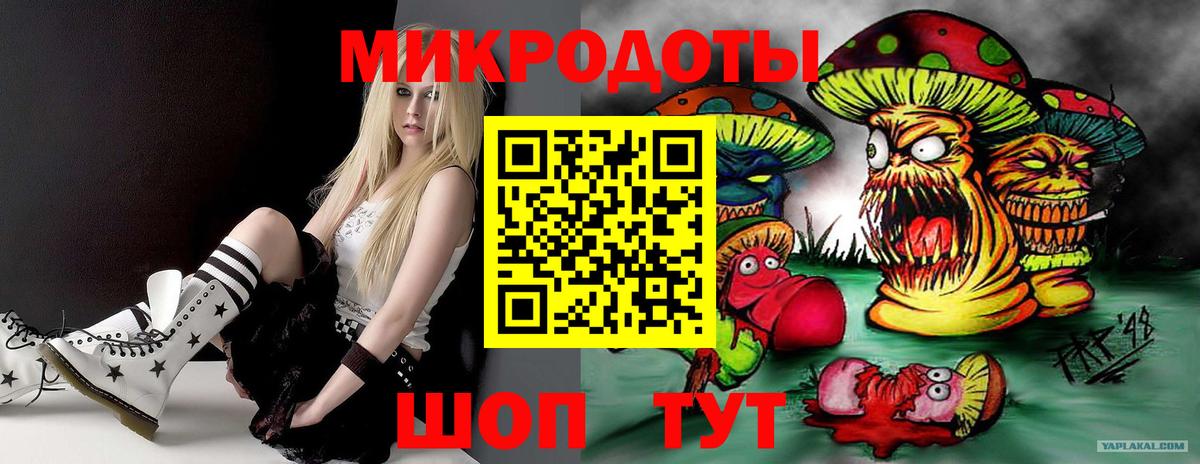 Псилоцибиновые грибы Psilocybine cubensis Рязань
